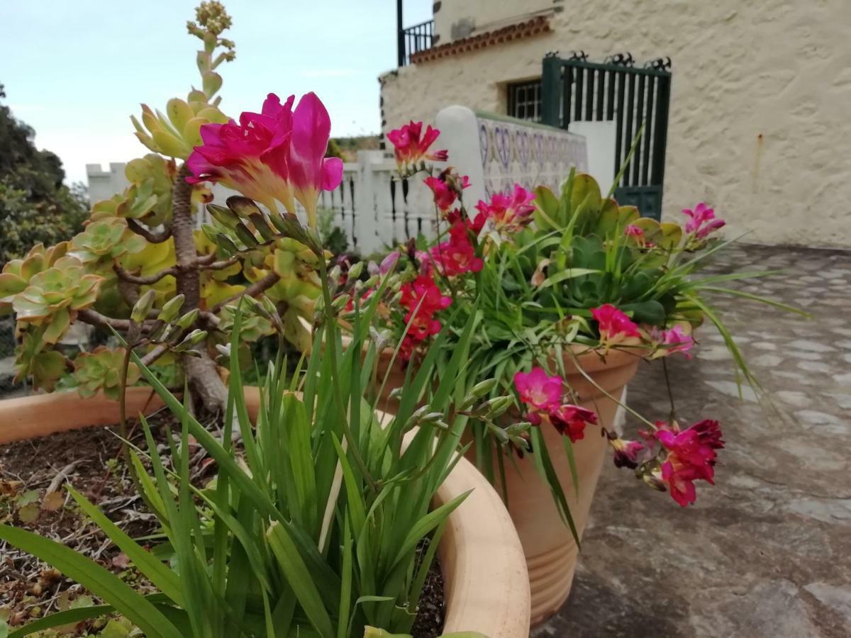 Grosse Finca 19Jh, Pool, Terrasse, Nahe Santa Cruz Santa Cruz de la Palma  Ngoại thất bức ảnh